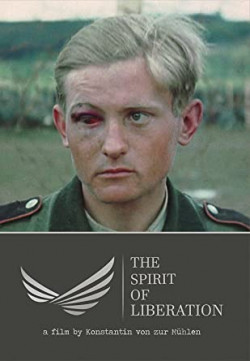 Plakát filmu Touha po svobodě / The Spirit of Liberation