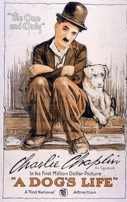 A Dog's Life - 1918