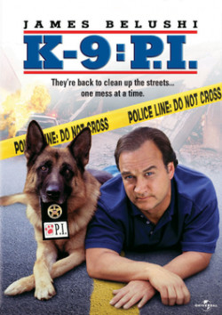 Plakát filmu K-9. Soukromý detektiv / K-9: P.I.