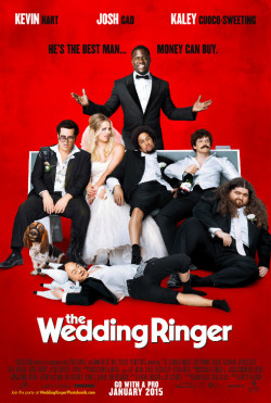 Plakát filmu Dokonalý svědek s.r.o. / The Wedding Ringer
