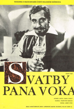Plakát filmu  / Svatby pana Voka