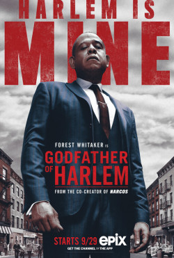 Godfather of Harlem - 2019