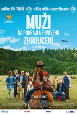 Český plakát filmu Muži na pokraji nervového zhroucení / Hommes au bord de la crise de nerfs