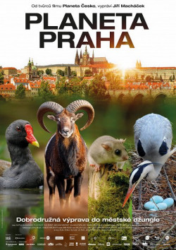 Plakát filmu  / Planeta Praha