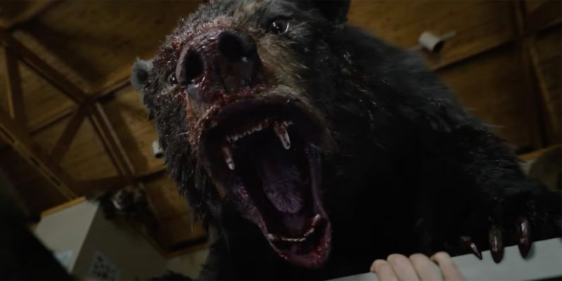 Fotografie z filmu Medvěd na koksu / Cocaine Bear