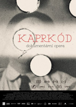Plakát filmu  / KaprKód
