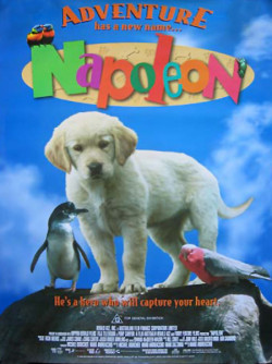 Napoleon - 1995