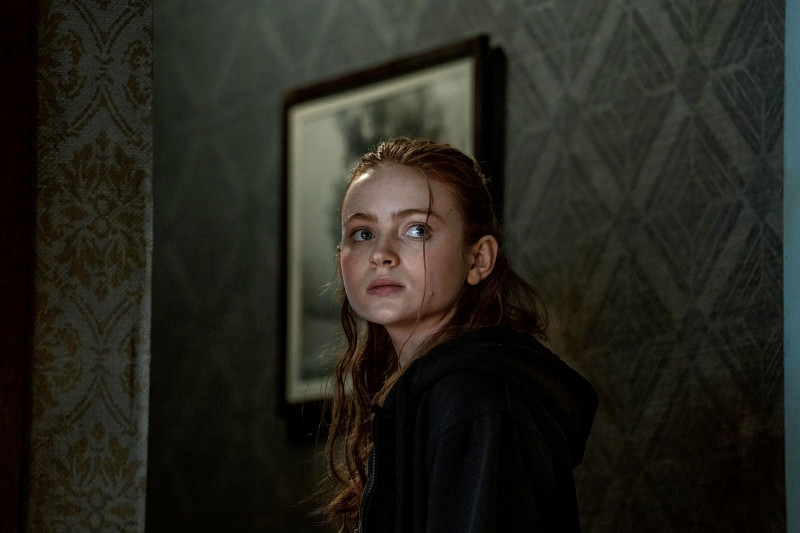 Sadie Sink ve filmu Velryba / The Whale