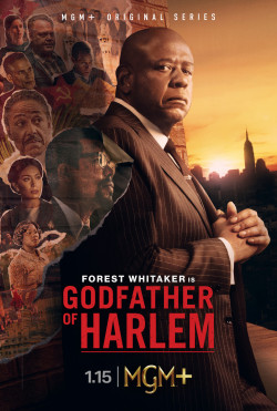Godfather of Harlem - 2019