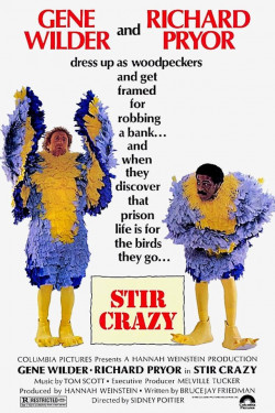 Plakát filmu Blázni ve vězení / Stir Crazy