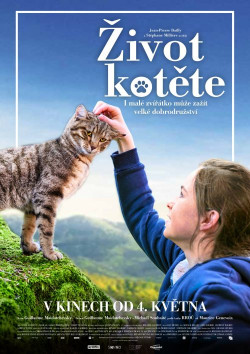 Český plakát filmu Život kotěte / Mon chat et moi, la grande aventure de Rroû