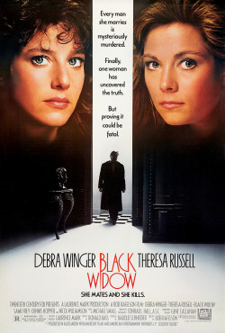 Plakát filmu Černá vdova / Black Widow