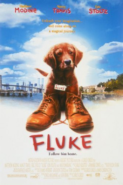 Fluke - 1995