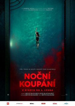 Český plakát filmu Noční koupání / Night Swim