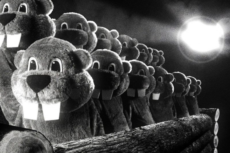 Fotografie z filmu Stovky bobrů / Hundreds of Beavers