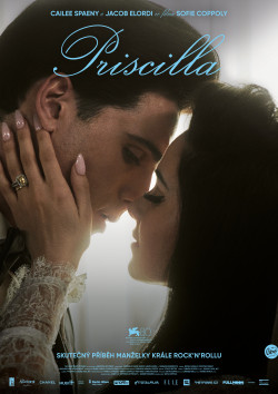Český plakát filmu Priscilla / Priscilla