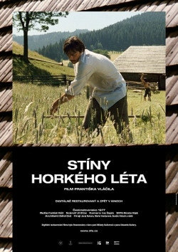 Plakát filmu  / Stíny horkého léta