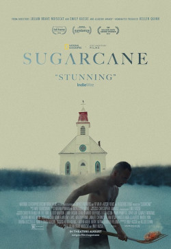 Sugarcane - 2024