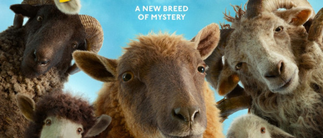 Béé team na stopě