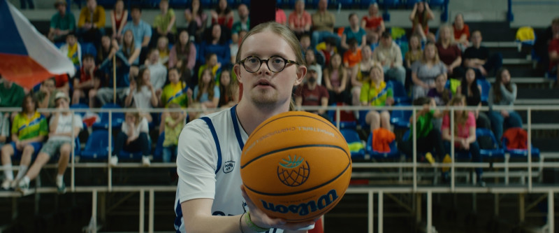 Martin Polišenský ve filmu  / Dream Team