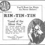 Rin Tin Tin