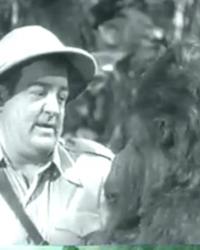 Lou Costello